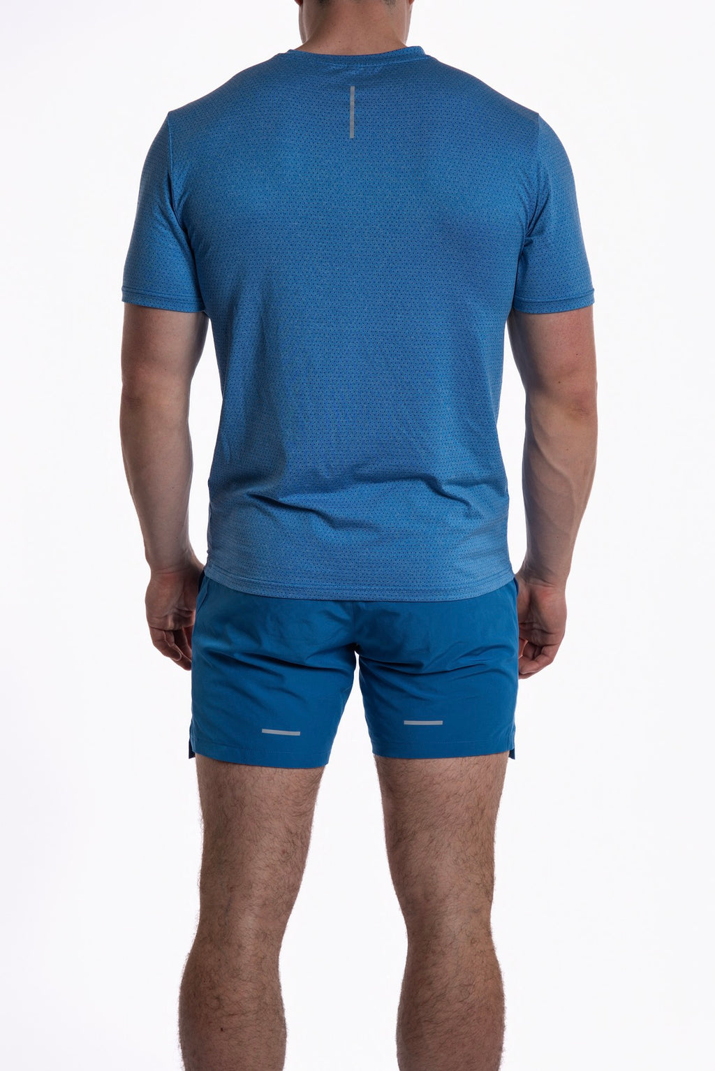 FAM blue summerset